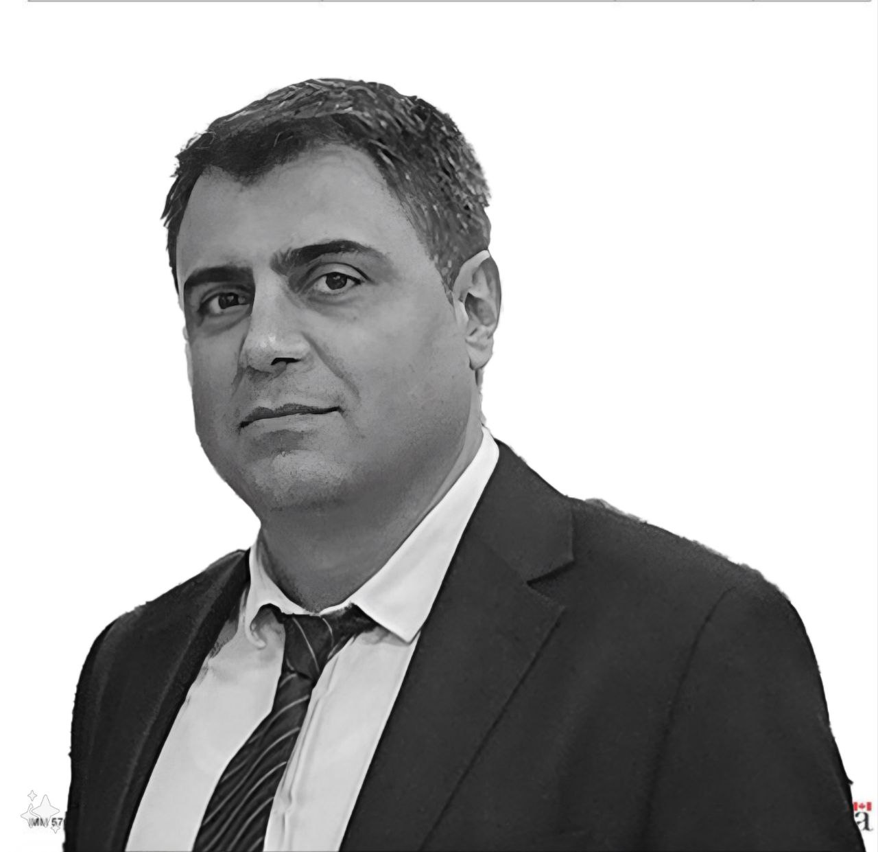 Hamed